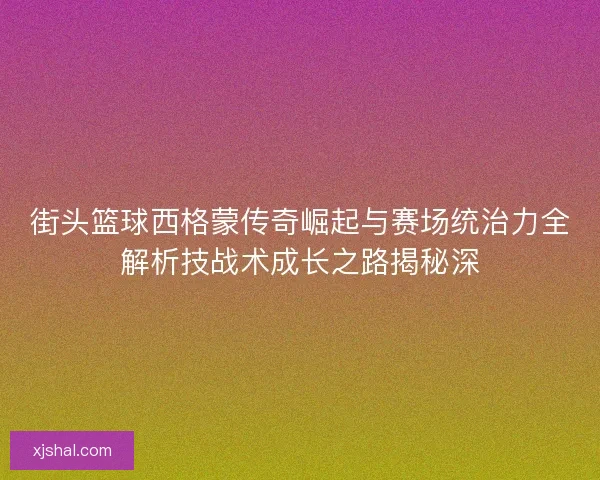 街头篮球西格蒙传奇崛起与赛场统治力全解析技战术成长之路揭秘深