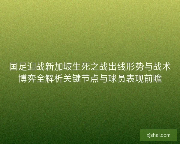 国足迎战新加坡生死之战出线形势与战术博弈全解析关键节点与球员表现前瞻