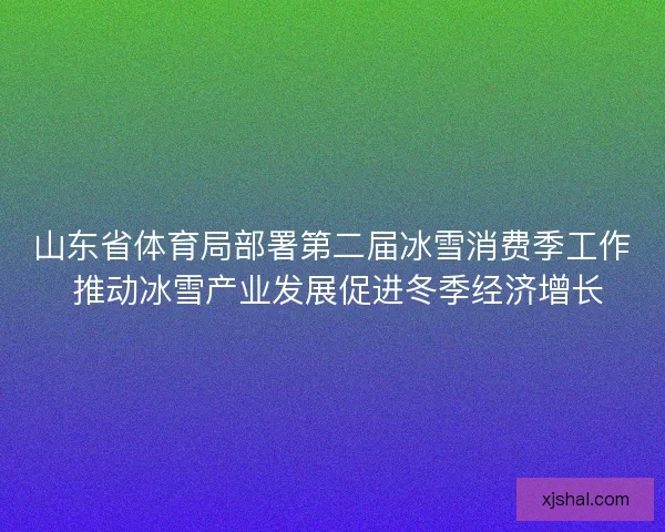 山东省体育局部署第二届冰雪消费季工作 推动冰雪产业发展促进冬季经济增长