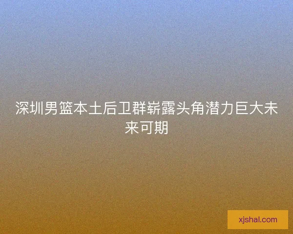 深圳男篮本土后卫群崭露头角潜力巨大未来可期